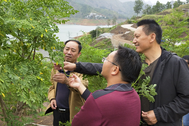 “算好四笔账，打赢五场仗” 扎实推进兴义储运站联系点双龙村整村脱贫