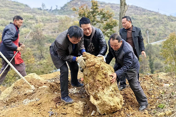 毕节烟厂驻晴隆县长流乡长流村第一书记积极推进图斑治理工作